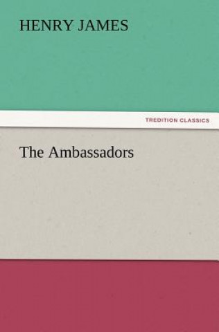 Ambassadors