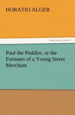 Paul the Peddler, or the Fortunes of a Young Street Merchant