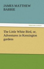 Little White Bird, Or, Adventures in Kensington Gardens