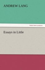 Essays in Little