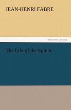 Life of the Spider