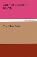 Silent Bullet