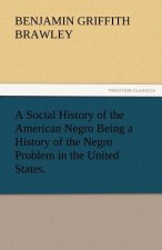 Social History of the American Negro Being a History of the Negro Problem in the United States.