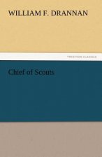 Chief of Scouts