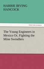 Young Engineers in Mexico Or, Fighting the Mine Swindlers