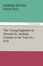 Young Engineers in Nevada Or, Seeking Fortune on the Turn of a Pick