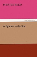 Spinner in the Sun
