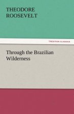 Through the Brazilian Wilderness