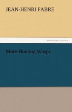 More Hunting Wasps