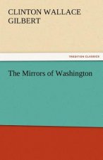 Mirrors of Washington