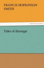 Tides of Barnegat