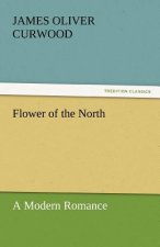Flower of the North a Modern Romance