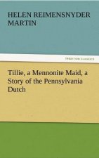 Tillie, a Mennonite Maid, a Story of the Pennsylvania Dutch