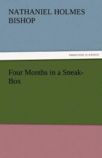 Four Months in a Sneak-Box
