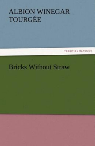 Bricks Without Straw