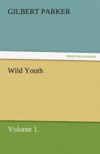 Wild Youth, Volume 1.