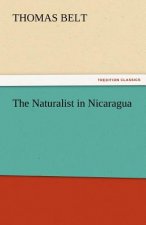 Naturalist in Nicaragua