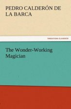 Wonder-Working Magician