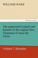Suppressed Gospels and Epistles of the Original New Testament of Jesus the Christ, Volume 7, Barnabas