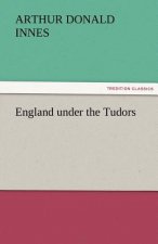 England Under the Tudors