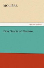 Don Garcia of Navarre