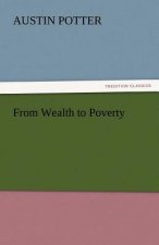 From Wealth to Poverty