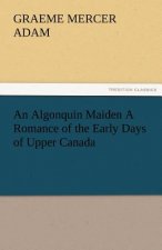 Algonquin Maiden a Romance of the Early Days of Upper Canada