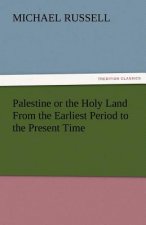 Palestine or the Holy Land from the Earliest Period to the Present Time