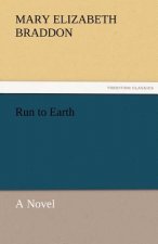 Run to Earth a Novel