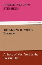 Mystery of Murray Davenport a Story of New York at the Present Day