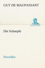 Schnepfe