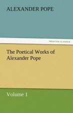 Poetical Works of Alexander Pope, Volume 1