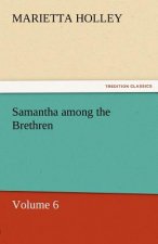 Samantha Among the Brethren - Volume 6