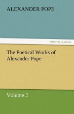 Poetical Works of Alexander Pope, Volume 2
