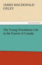Young Woodsman Life in the Forests of Canada
