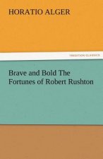 Brave and Bold the Fortunes of Robert Rushton