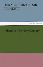 Ireland in the New Century