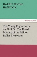 Young Engineers on the Gulf Or, the Dread Mystery of the Million Dollar Breakwater