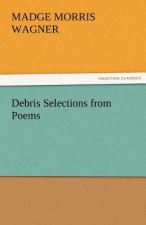 Debris Selections from Poems