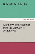 Another World Fragments from the Star City of Montalluyah