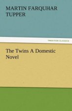 Twins a Domestic Novel