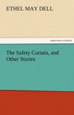 Safety Curtain, and Other Stories