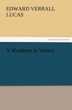Wanderer in Venice