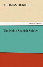 Noble Spanish Soldier