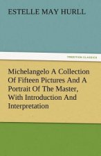 Michelangelo a Collection of Fifteen Pictures and a Portrait of the Master, with Introduction and Interpretation