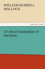 Critical Examination of Socialism