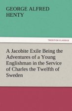 Jacobite Exile Being the Adventures of a Young Englishman in the Service of Charles the Twelfth of Sweden