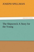 Shipwreck a Story for the Young