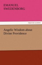 Angelic Wisdom about Divine Providence