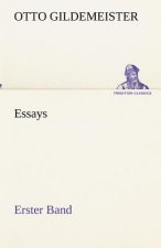 Essays - Erster Band